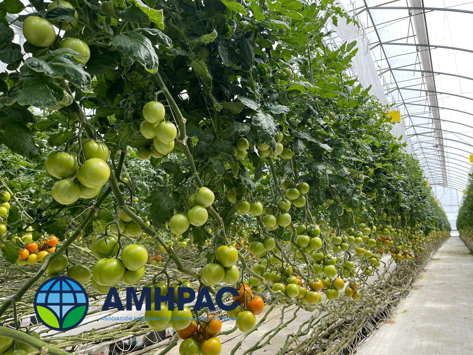 Simposio 18 de marzo (12)