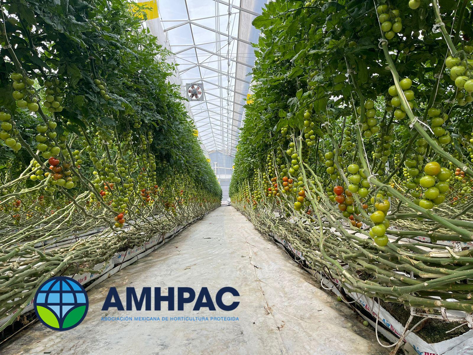 Simposio 18 de marzo (18)