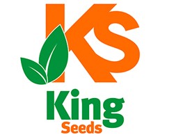King Seed